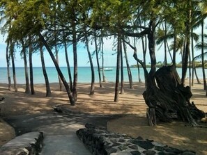 A beach path leading to the ocean, surrounded by palm trees and a large tree stump.