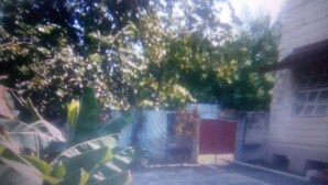 A view through a window with a tree and a building in the background. - Robert's Guesthouse in Port of Spain.
In the Heart of Carnival 2026 (St Clair)