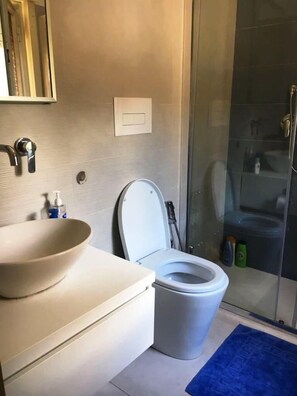 Regadera, amenidades de baño gratuitas, secadora de cabello, bidet