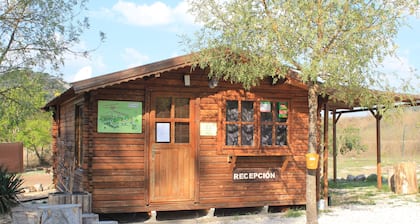 Camping La Fundición