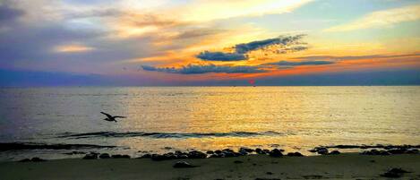Sur la plage, chaise longue