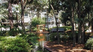 Ein friedlicher Garten mit einem kleinen Wasserspiel, umgeben von üppigem Grün und Bäumen.