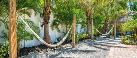 A pathway lined with palm trees and a hammock, leading to a seating area with a thatched roof.