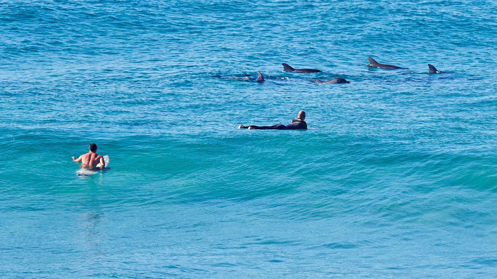 Sea Breeze - Iluka 12 - Palm Beach — image 13