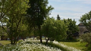 A garden with white flowers, trees, and a building with a thatched roof. - E - Uns Schün, Germany (Middelhagen)