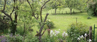 Charming cottage renovated in Larochepot in the Hautes Cotes de Beaune in Burgundy