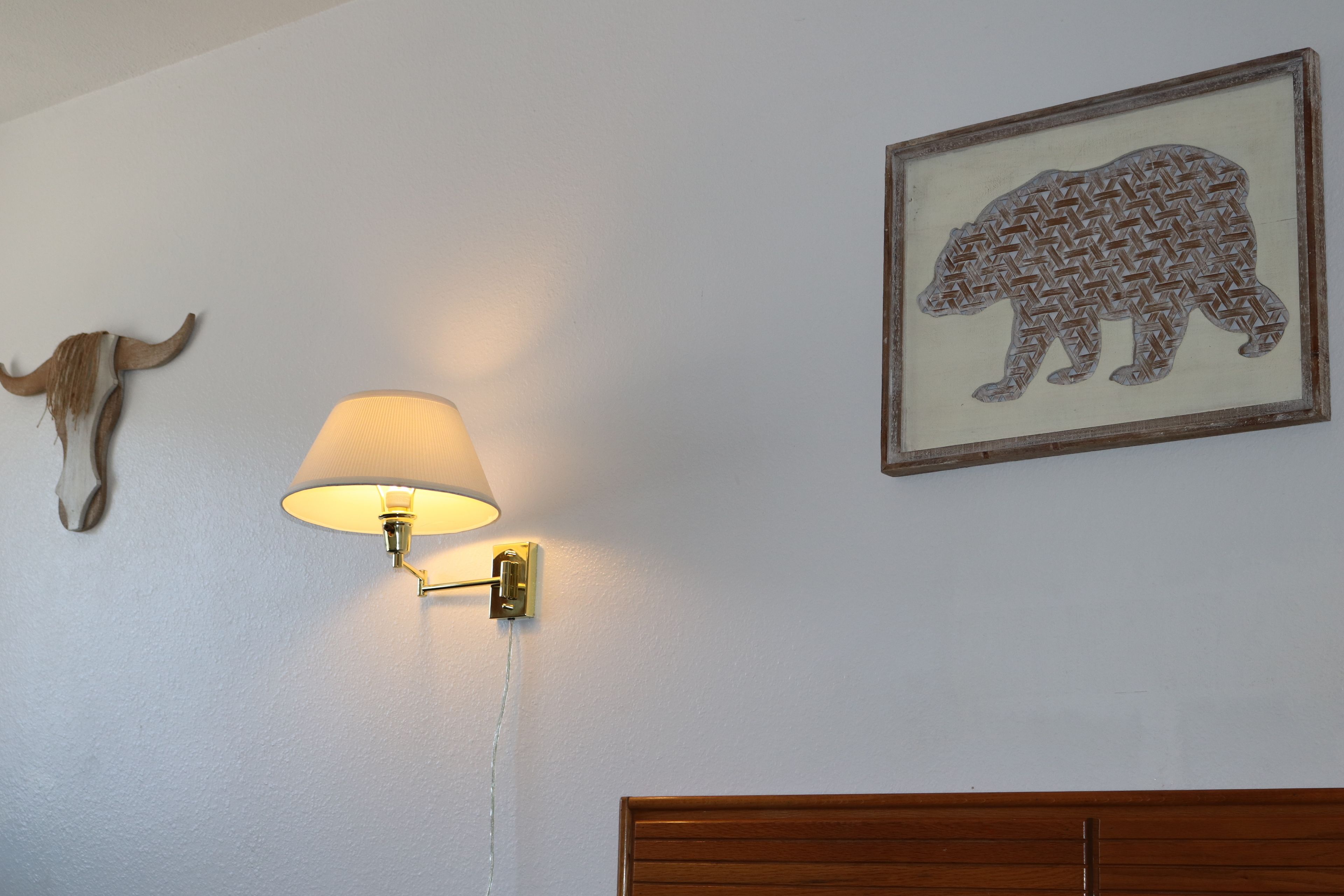 Una pared con un cuerno de animal montado, una lámpara de pared y una silueta de animal enmarcada.