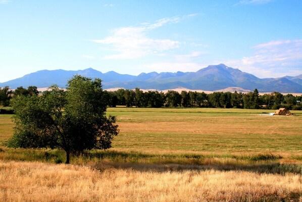 Un campo abierto con un árbol en primer plano, un montículo de heno a lo lejos y una cadena montañosa al fondo.
