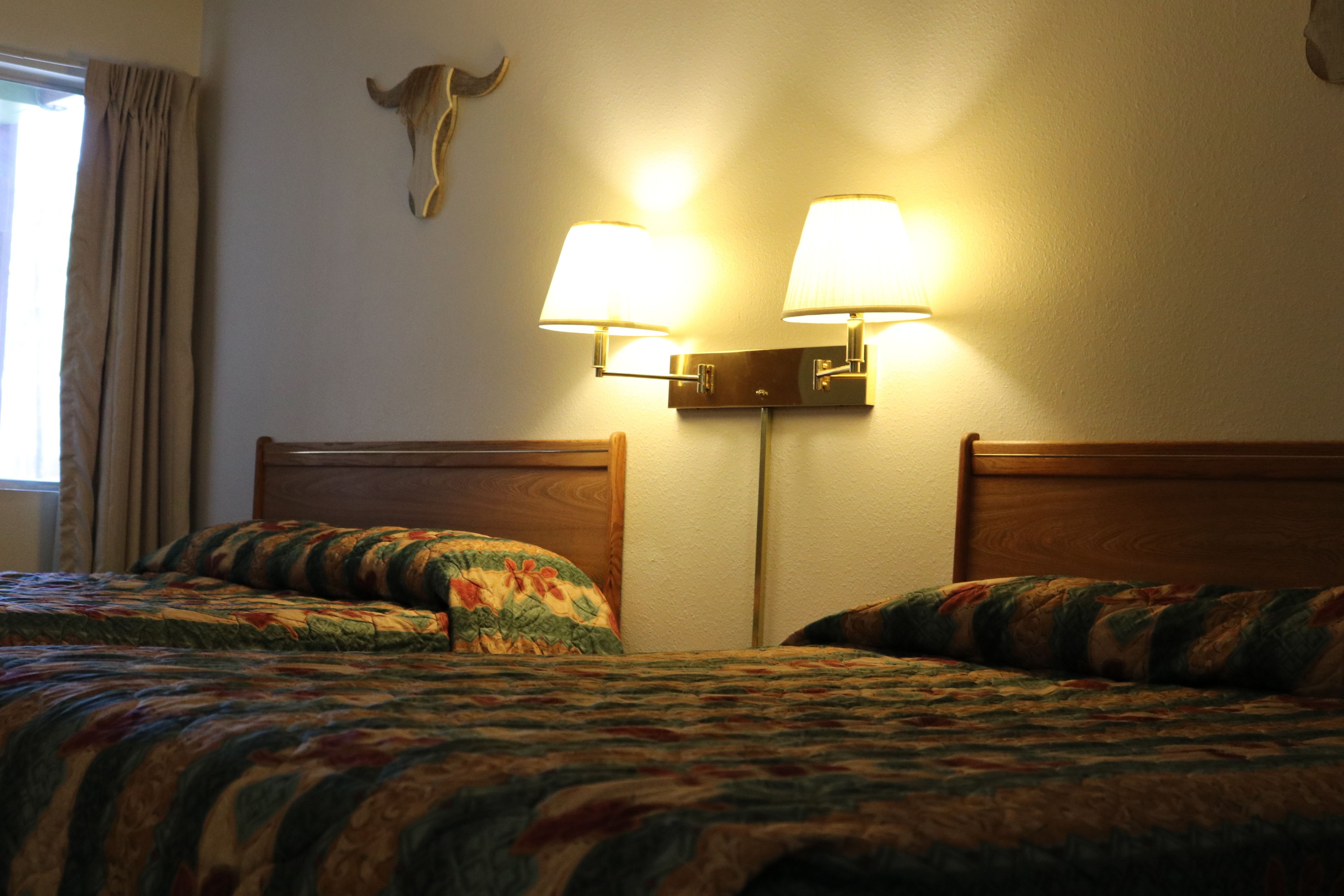 Una habitación de hotel con dos camas, cabecero de madera, lámpara de pared y una cabeza de vaca decorativa en la pared.
