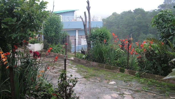 Un jardín con plantas en macetas y una valla.