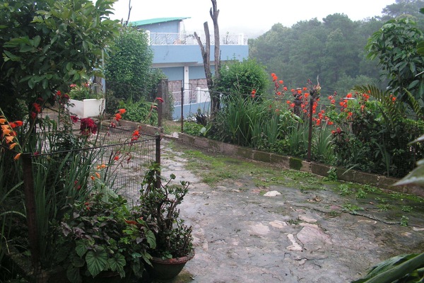 Garden1
