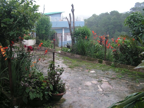 Property grounds - Troya Home Stay - Not a Hotel! Come stay in a Home! (SHILLONG)