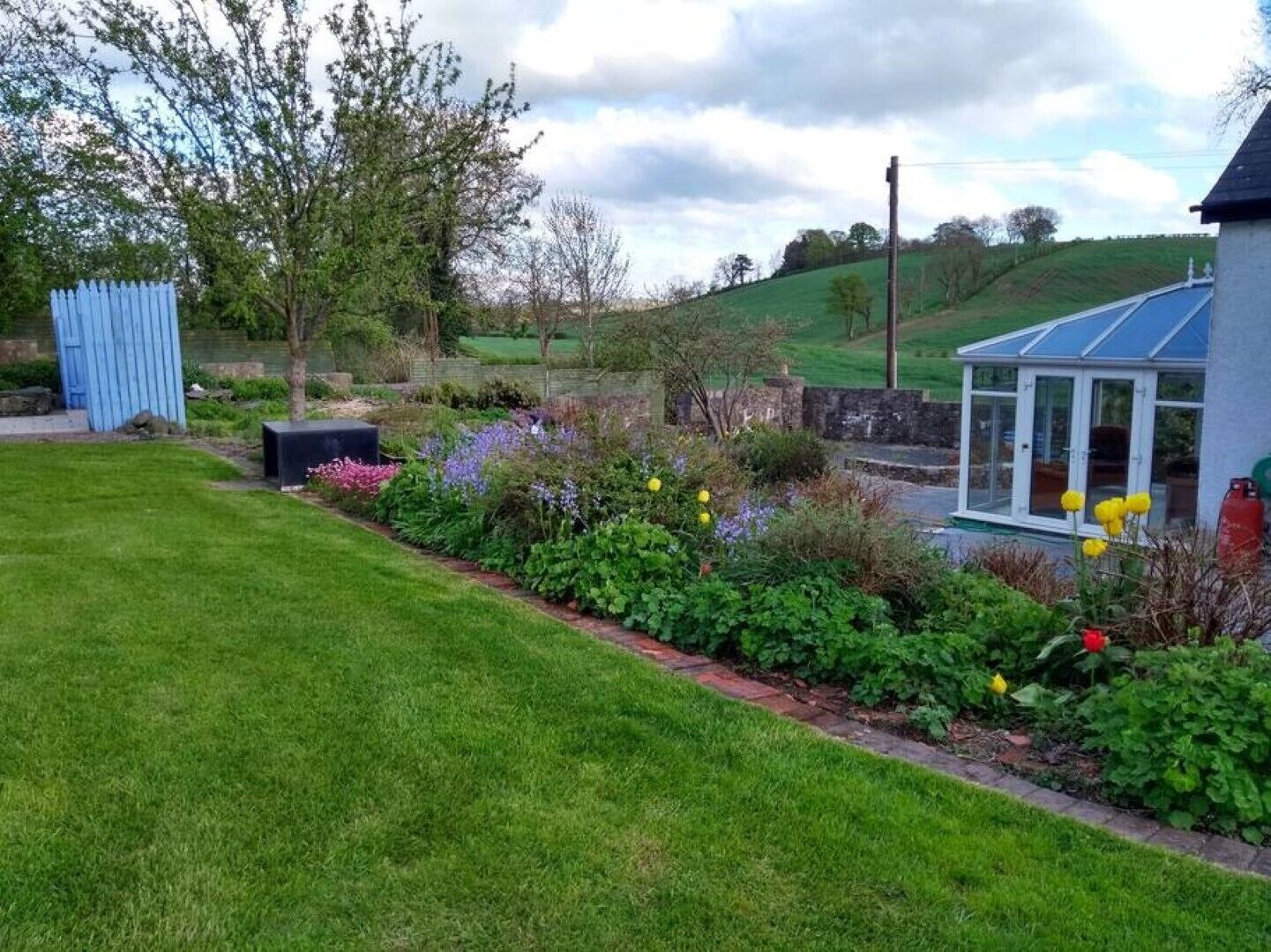 A garden with a blue shed, a conservatory, and a stone wall.
