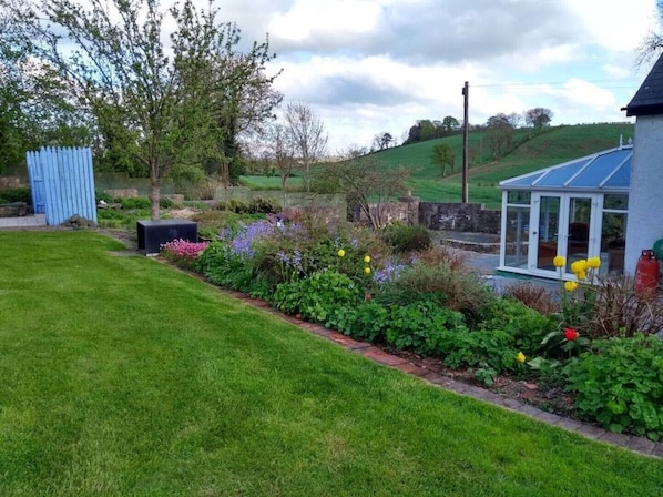 A garden with a blue shed, a conservatory, and a stone wall.
