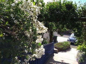 Property grounds - Ashside Cottage, Royal Hillsborough, Belfast (Lisburn)