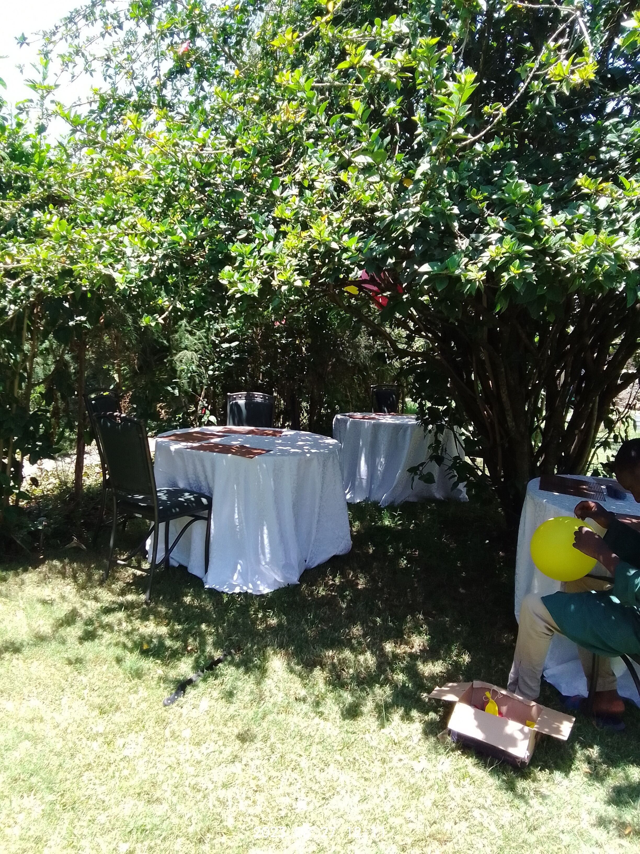 Jardín