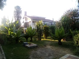 Uma casa com jardim, com plantas verdes grandes e um espaço pavimentado.