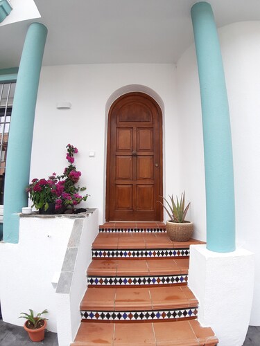 Beach and pine trees.