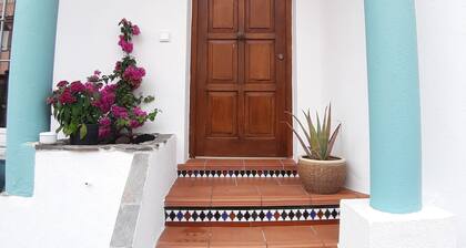 Beach and pine trees.