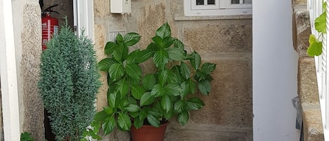 DĂ©tail de lâextĂ©rieur