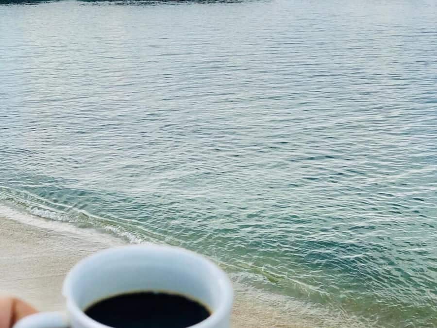 Vue sur la plage/l’océan