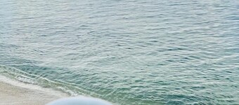 ปูซาดาทาร์ตารุกา