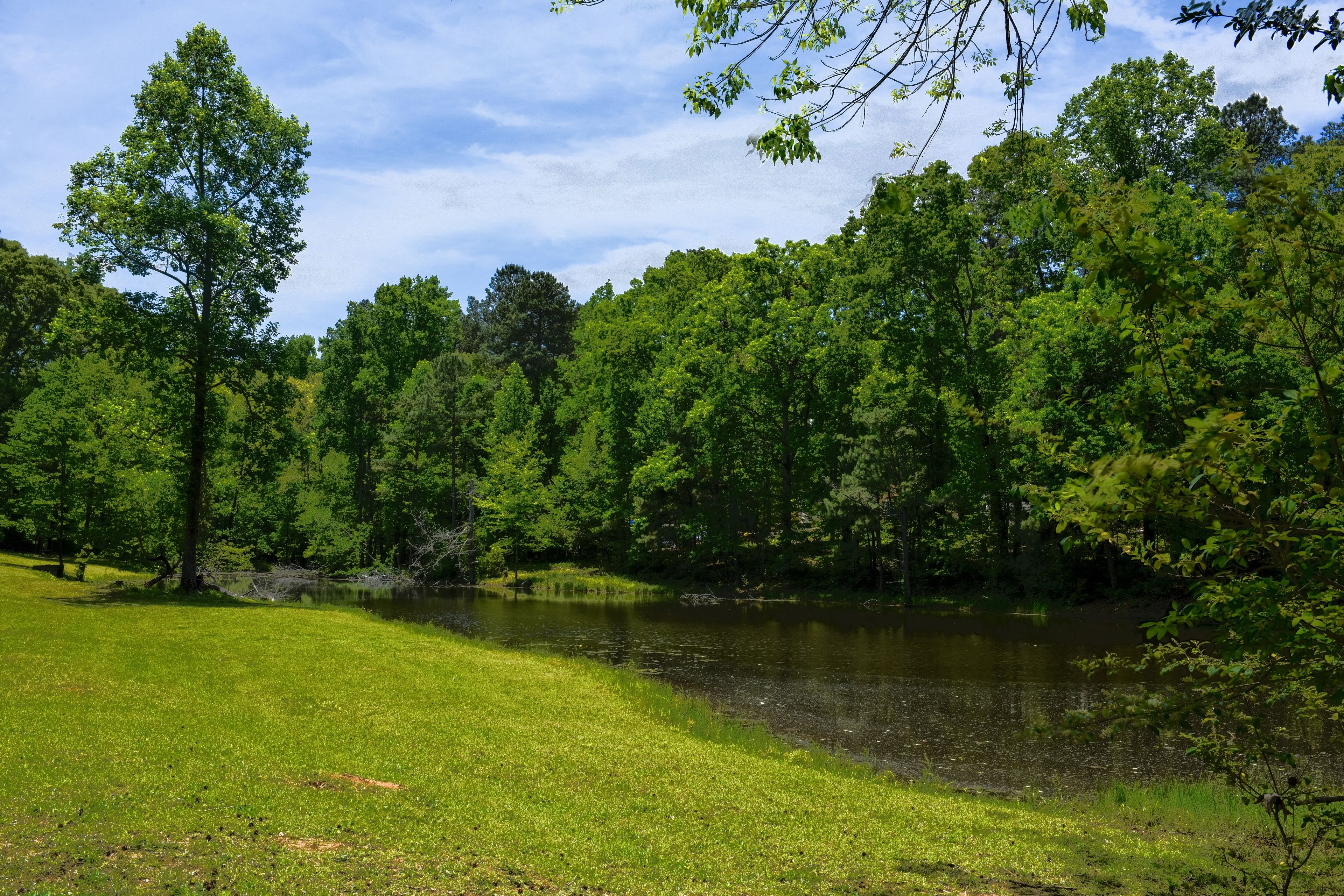 A serene lakeside setting with lush greenery and a clear sky.