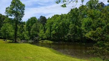 A serene lakeside setting with lush greenery and a clear sky.