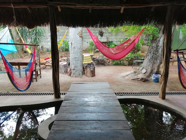 Garden - Casa Xtakay - Hostel (Valladolid)