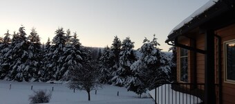 Silver Star Road Suites - Lower Level Suite