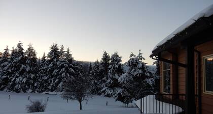 Silver Star Road Suites - Suite auf der unteren Ebene