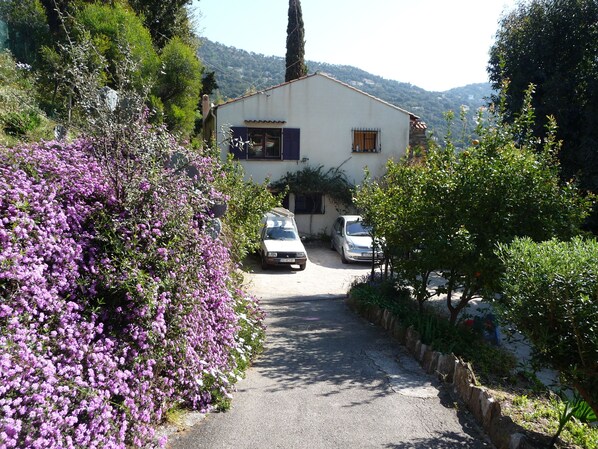 A white building with a small driveway and parked cars.