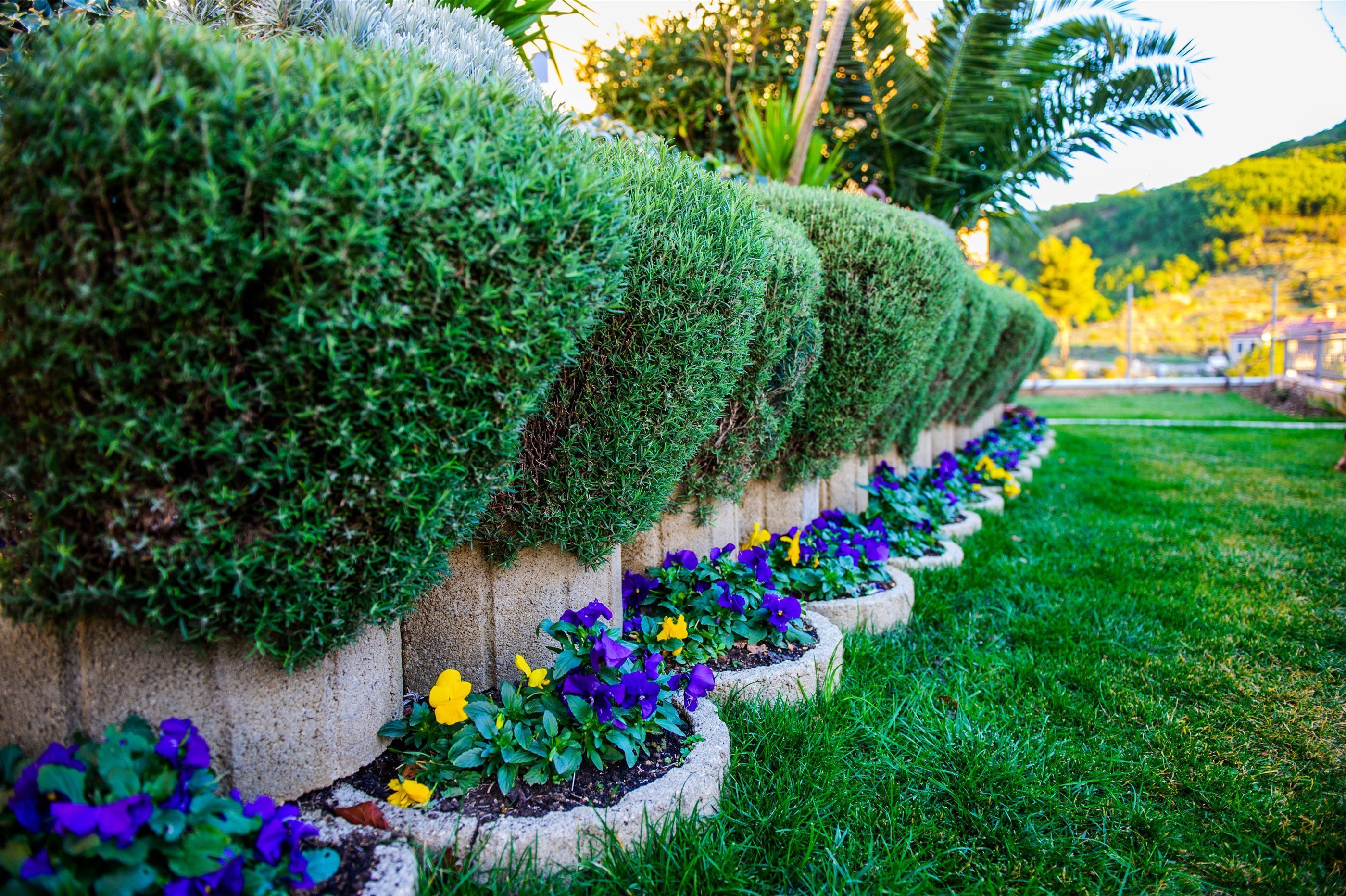 Un jardín con setos bien cuidados y macizos de flores.