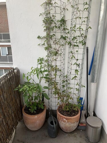 Zentrales Appartement in Bremen - auch schnell zu Fuß in der City