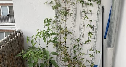 Zentrales Appartement in Bremen - auch schnell zu Fuß in der City