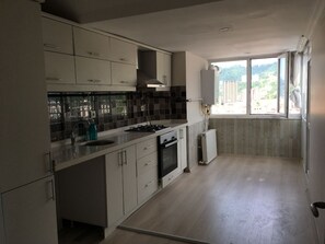 Loftsleilighet – panorama, 1 queensize-seng, røyk, sjøutsikt | Eget kjøkken | Kjøleskap, ovn og kjøkkenutstyr