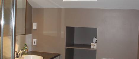Een moderne badkamer met dakraam, een douchecabine van glas, een witte wastafel en een toilet.