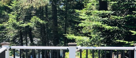 Luxury Cal King | Terrace/patio