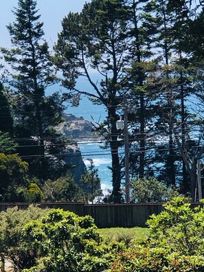 A coastal landscape with dense trees and a view of the ocean. - Seafoam Lodge (Little River)