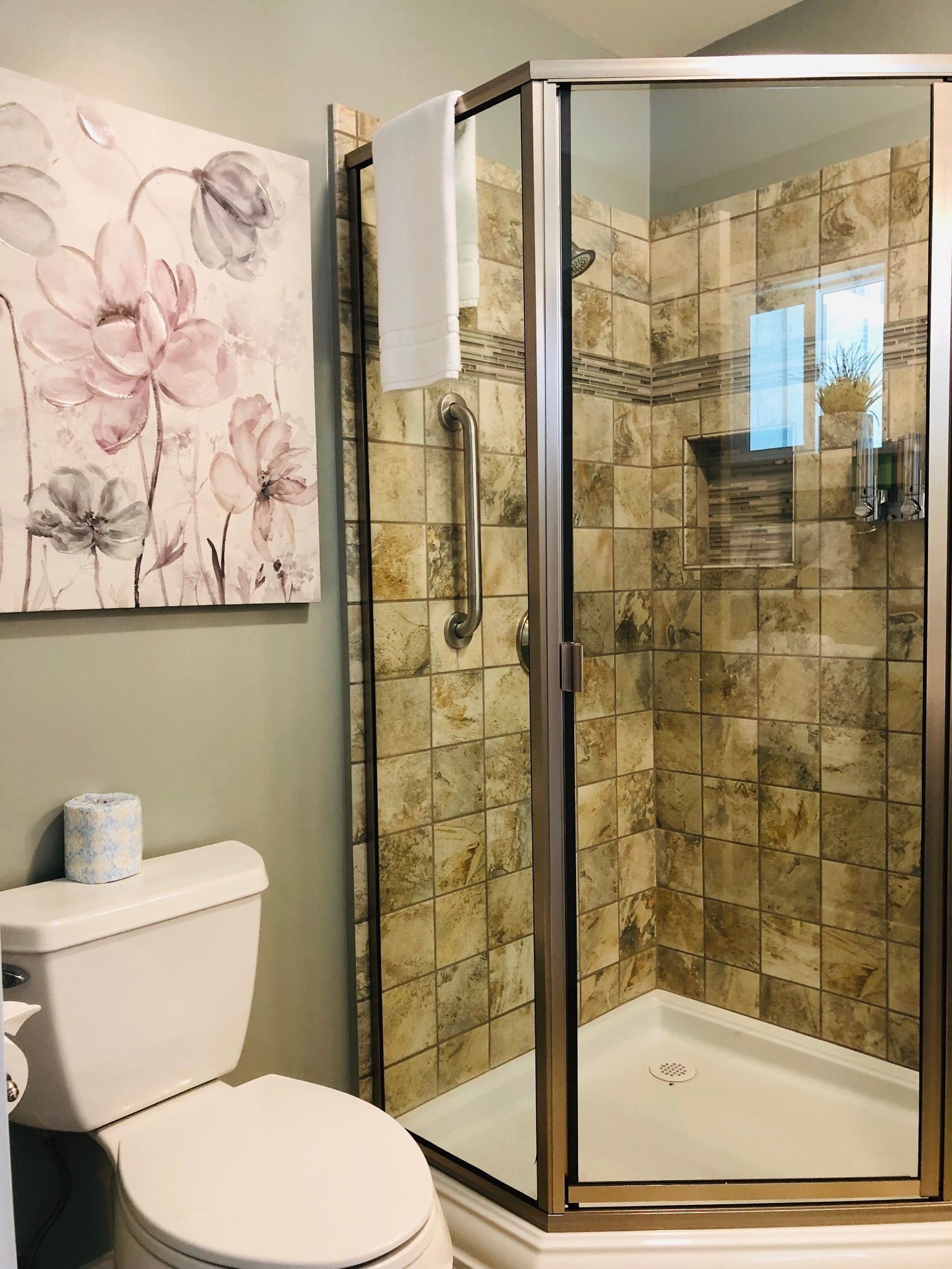 A bathroom with a glass-enclosed shower, a toilet, and a wall-mounted toilet paper holder.