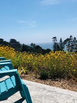 Un banco con vista a un campo de flores amarillas y al océano.