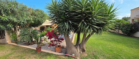 Overnattingsstedets uteområder