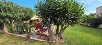 House, Holiday home, Chalet 300 m from Son Moll beach (Cala Ratjada)