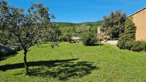 A grassy outdoor area with a tree, a building, and a hill in the background. - Villa at the foot of Mont Ventoux for 7 people in Malaucène with private pool (Malaucène)