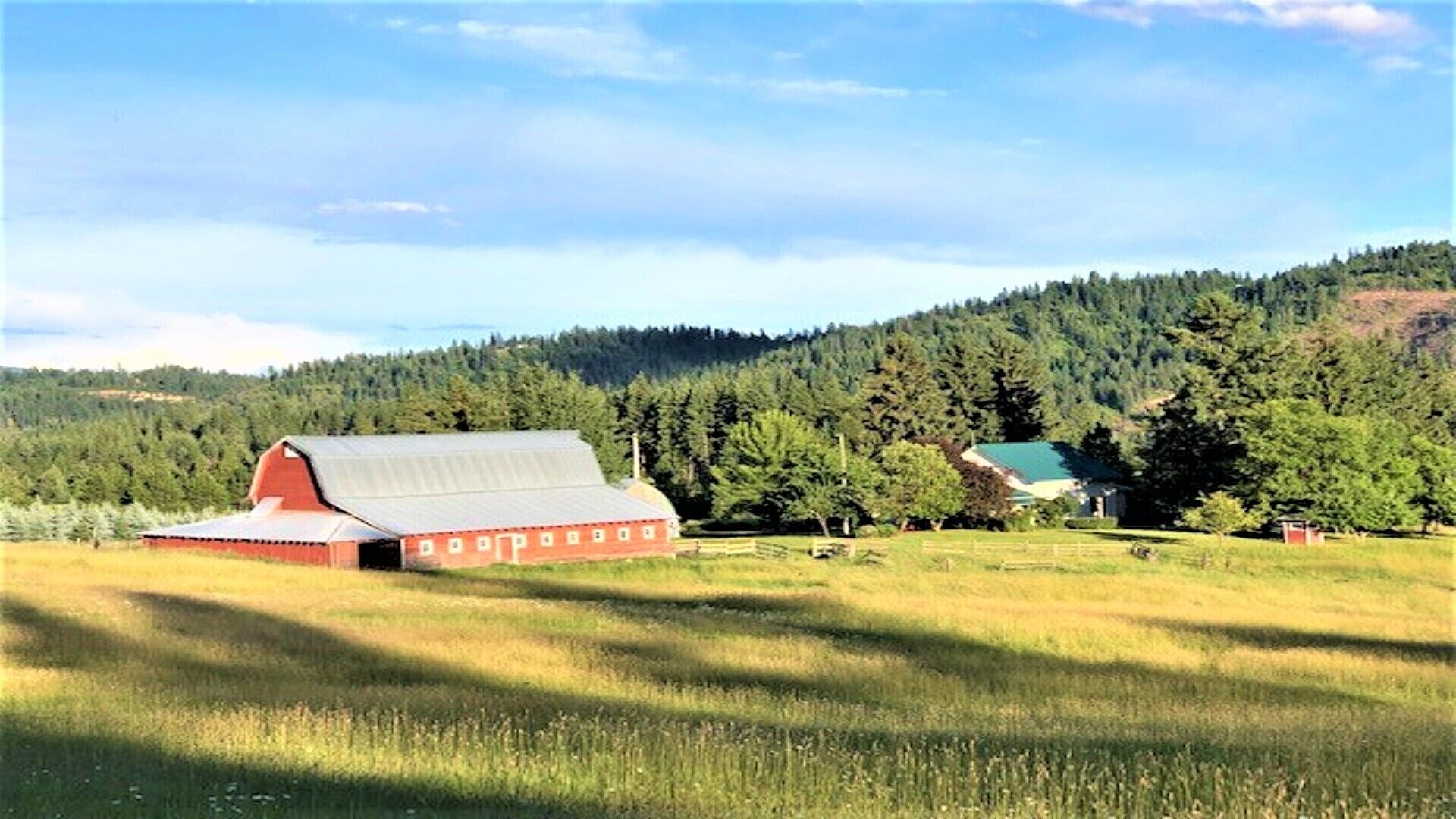 Spacious Farmhouse and wonderful old Barn. 15 acres meadows to relax and unwind!
