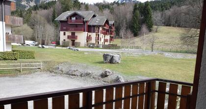 Charming Duplex Studio Near Lifts and Village Center in Bernex