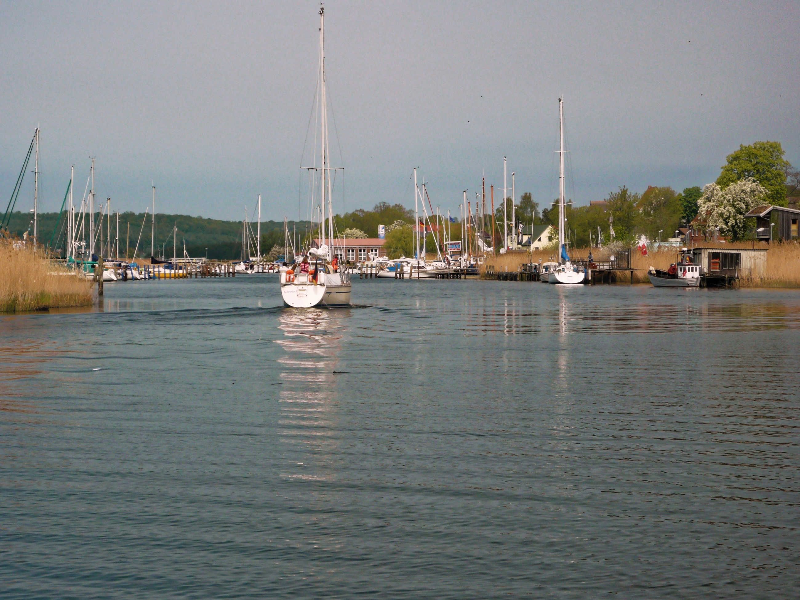 A marina with multiple sailboats docked.
