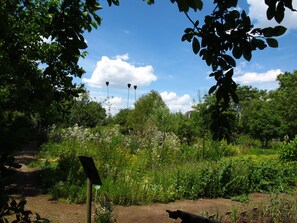 Ein Garten mit einem Feldweg, verschiedenen Pflanzen und einem Wegweiser.