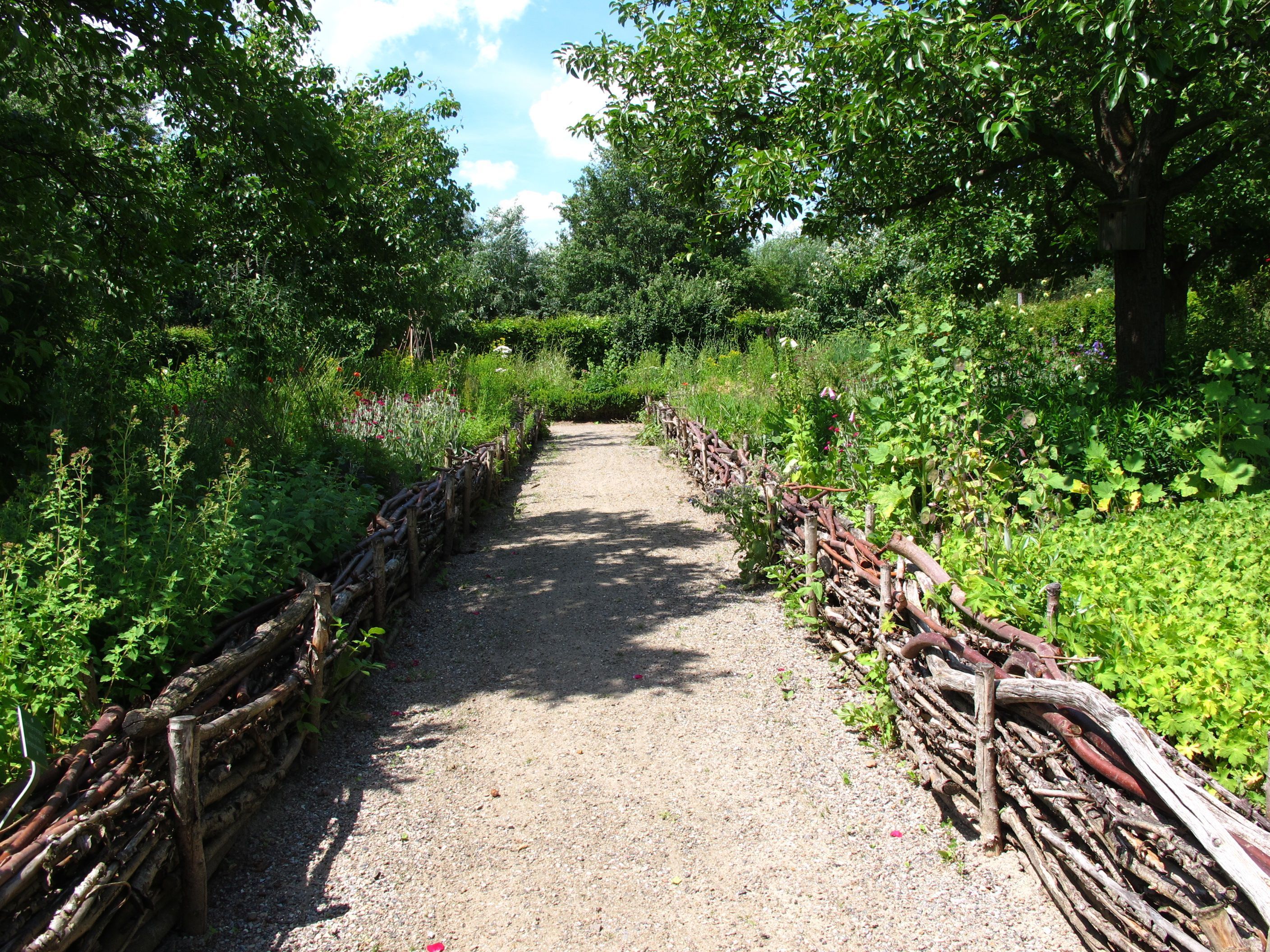 A gravel path flanked by wooden fences and lush greenery.