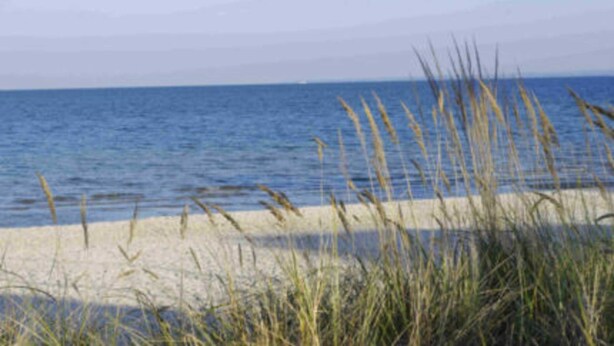 A beach with sand and grass in the foreground and a calm sea in the background. - Baltic Sea Apartment App. 6110 - Baltic Sea app. App. 6110 (Wendtorf)